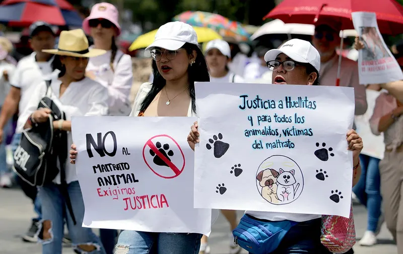 marcha-contra-el-maltrato-animal-puebla