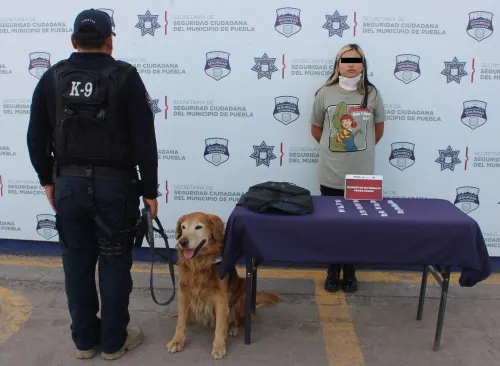 Detuvo Policía Municipal de Puebla a mujer en posesión de posible metanfetamina