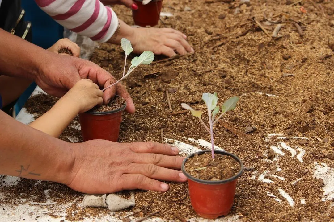 Curso de verano "Misión: Rescate Tierra"