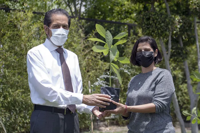 Entrega Rector Alfonso Esparza más de 800 especies con “Adopta un árbol”