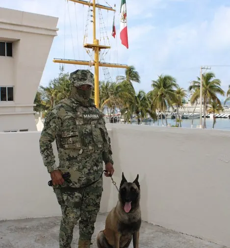 Día de la Marina