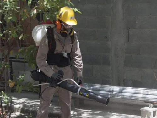 Alertan por emergencia sanitaria de zika, dengue y chikungunya