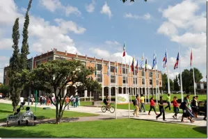 Instaura UDLAP Consejo Consultivo de su Escuela de Artes
