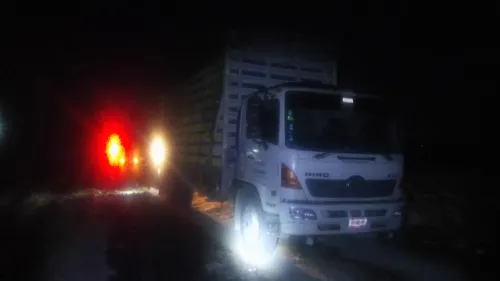 Camión con un cargamento de pollos fue recuperado por la Policía Federal en San Hipólito