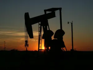 Coberturas petroleras aseguran ingresos del gobierno para 2017