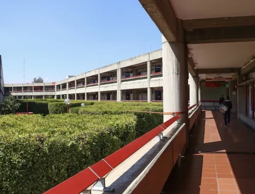 IBERO informa sobre el regreso a la nueva normalidad
