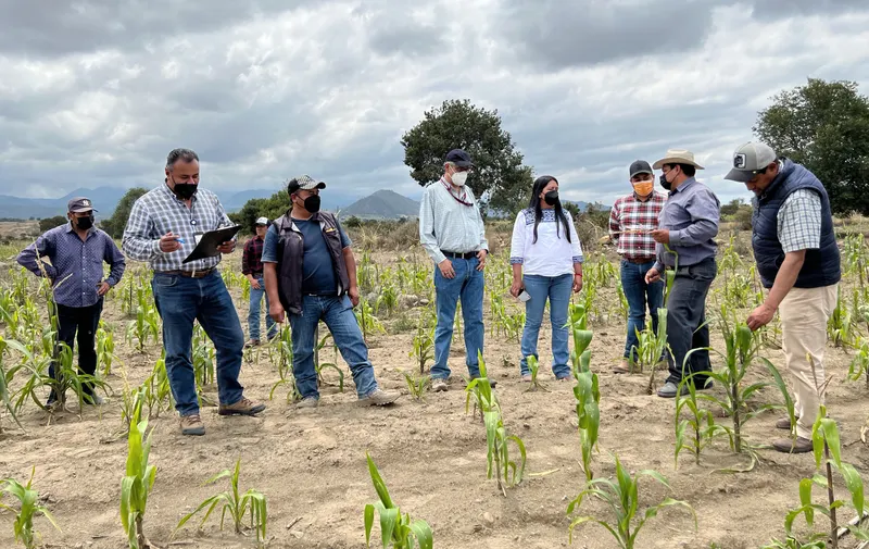 SDR apoya a productores