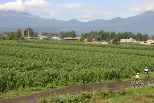 Campo poblano sufre afectaciones por sequía, principales productos afectados son maíz y frijol: SDR