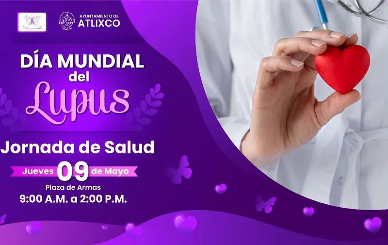 Imagen 2