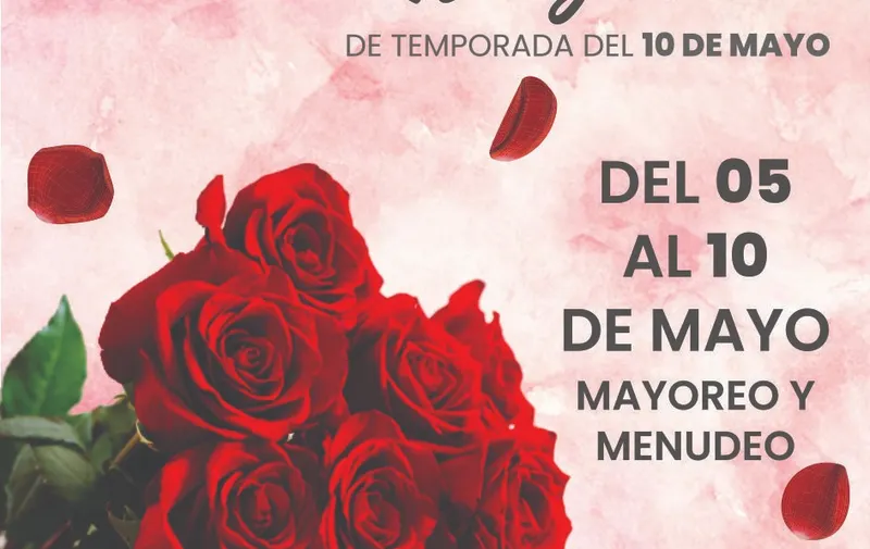 Gran variedad de flores puedes encontrar este 10 de mayo en la Plazuela Santa Rita, Atlixco