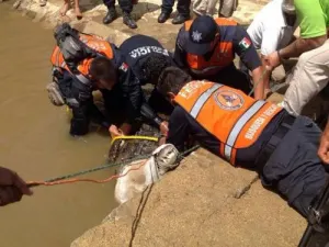 Cocodrilo atacó y lesionó a un hombre en Oaxaca