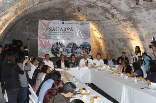 Huachicol afectó 5 mil hectáreas de cultivo en Puebla y los agricultores no tienen apoyo: Sagarpa