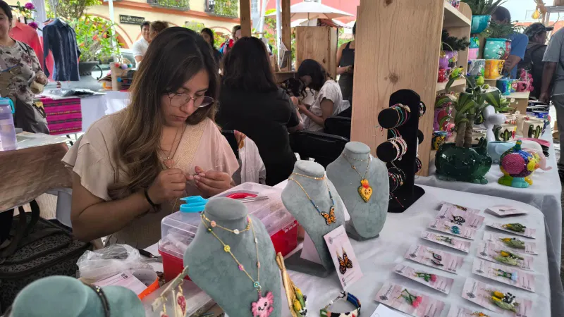 atlixco-festival-manos-con-historia-serial-nacional-downhill