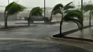 La prevención funcionó: expertos; se levanta la alerta en Jalisco, Colima y Nayarit