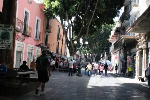 Ayuntamiento de Puebla sigue sin permisos de impacto ambiental para obras del Corredor 5 de Mayo