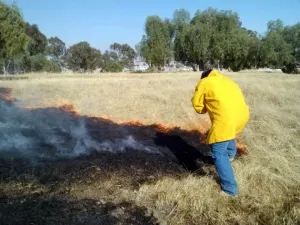 Suman 107 incendios forestales en 34 municipios poblanos