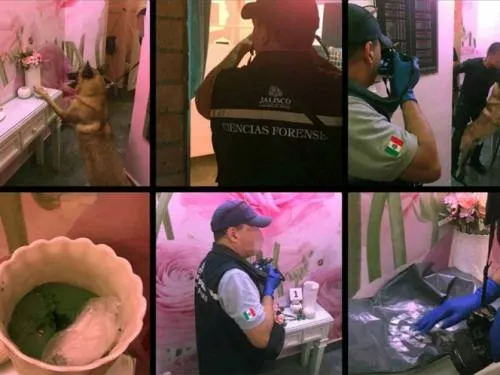 Aseguran bar en Guadalajara ligado a Raúl Flores; hallaron droga
