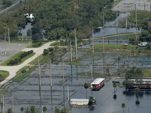 Más de 500 mil en el sureste de Florida siguen sin luz