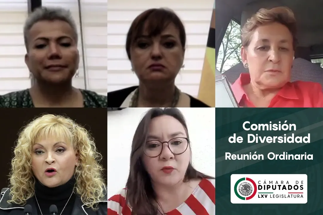 Comision De Diversidad