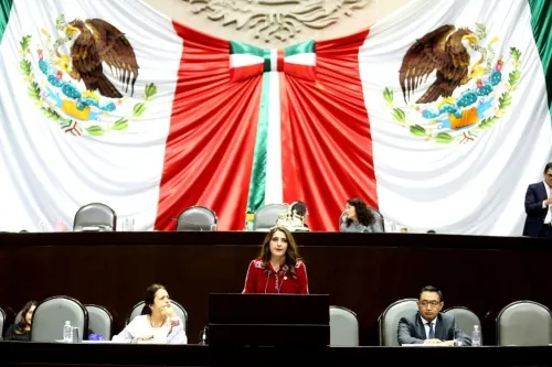 Ley de Austeridad Republicana debe contar con criterios claros: Maiella Gómez