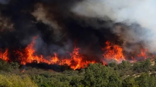 Ocupa Puebla séptimo lugar nacional con mayor número de incendios forestales