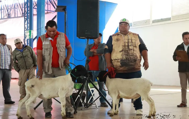 Ariadna Ayala fortalece el campo atlixquense con entrega de apoyos a productores 