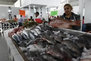 Mercado de Pescados, al 70 por ciento de su capacidad