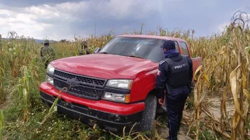 Reporte de aseguramiento en el estado