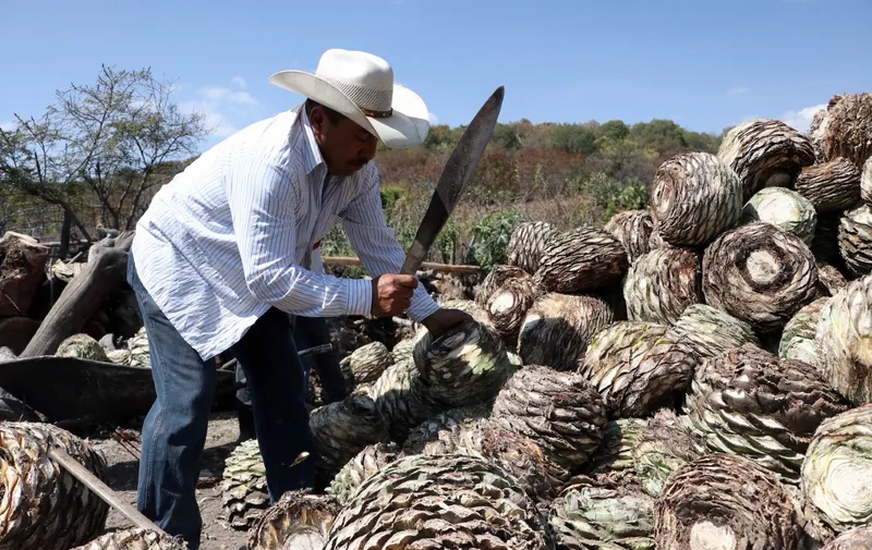 Mezcal-poblano