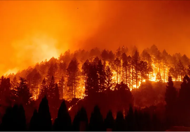 Cuatro muertos por incendios forestales en California