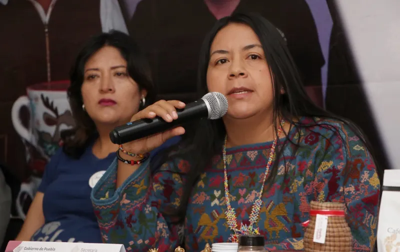 Ana Laura Altamirano Pérez