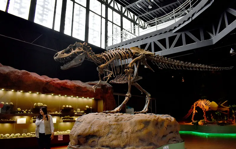 museo-de-la-evolucion-tehuacan