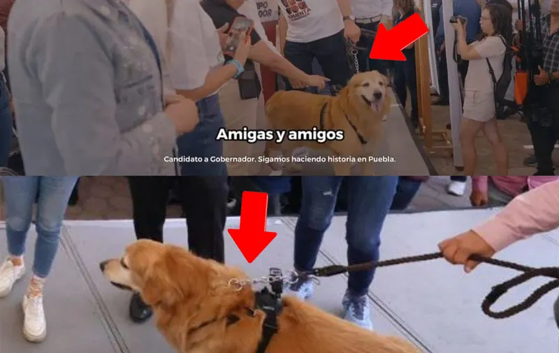 Imagen del artículo