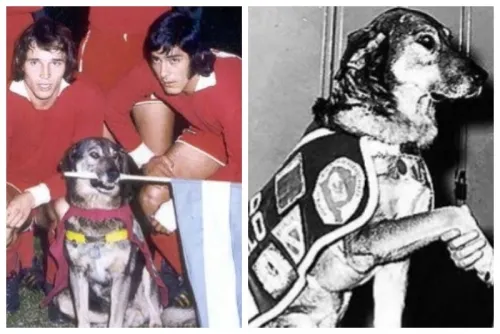 Boneco, el único perro campeón de América