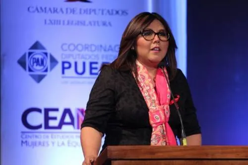 Fortalecer estructura electoral y volver a “enamorar” a militantes, la propuesta de Genoveva Huerta