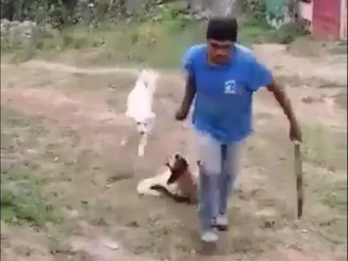 Causa indignación video de sujeto que mata a perrita a machetazos en Ixtapaluca, Edomex