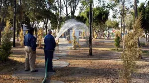 Ayuntamiento rehabilita cien parques y jardines