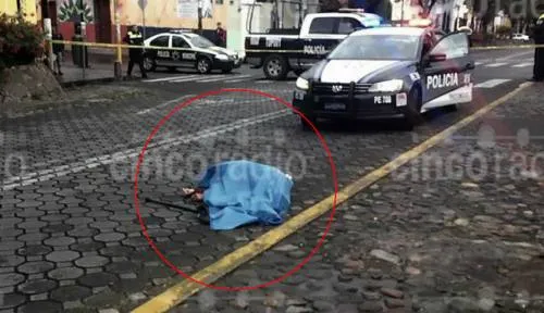 Hombre de la tercera edad pierde la vida tras ser atropellado en Analco