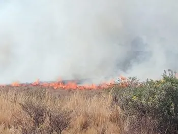 Con seis brigadas y desde dos flancos se combate incendio forestal en Ixtacamaxtitlán