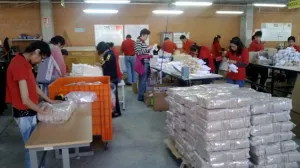 STPS promueve inclusión laboral para personas con discapacidades