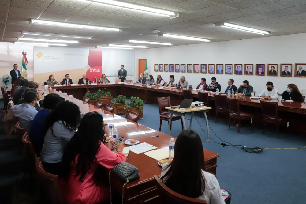 OCDE Gobierno de Puebla