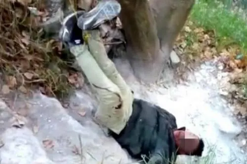 Cuelgan de árbol a presunto ladrón en la colonia México 83 