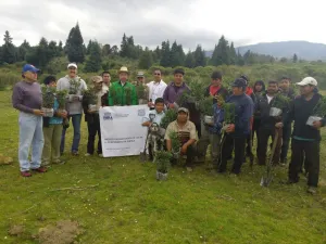Ayuntamiento de Puebla avanza en la reforestación de La Malinche