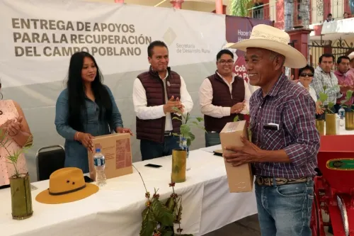 El gobierno estatal está volteando a vernos: productor de café
