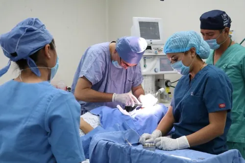 Secretaría de Salud disminuye diferimiento quirúrgico con cirugías ambulatorias: Ojeda Lara