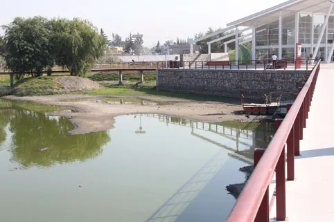 Mueren peces y aves en Laguna de Chapulco por contaminación