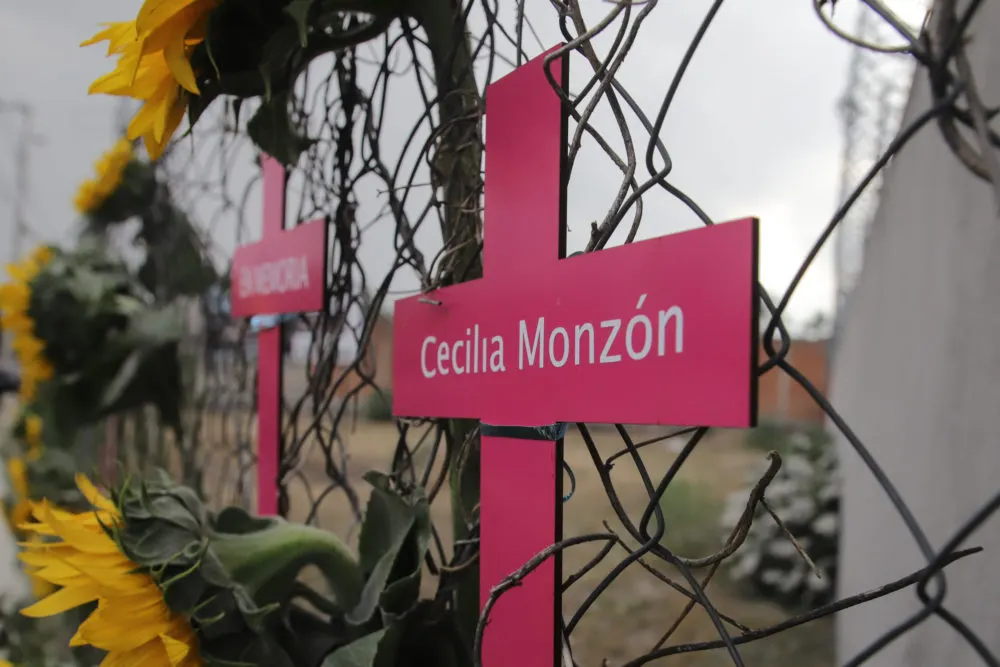 Caso Cecilia Monzón