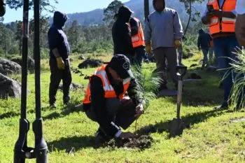 Granjas Carroll impulsa la conservación y reforestación en el Valle de Perote