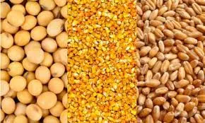 Ataque de Rusia a Ucrania dispara los precios del maíz, trigo y soya