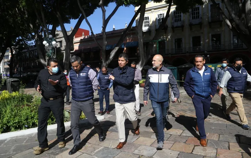 Ayuntamiento revisa el estado de los árboles